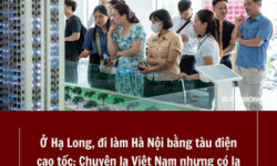 Hải Phòng Công Khai Giá Bán Nhà Ở Xã Hội