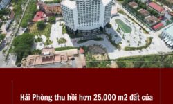 Hải Phòng thu hồi hơn 25.000 m2 đất của Nam Cường doanh nghiệp vi phạm ở Đồ Sơn